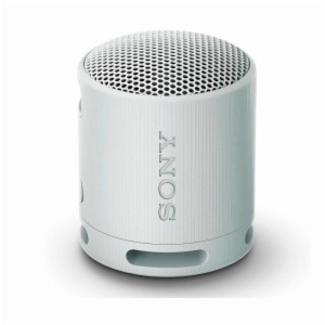 ALTAVOCES SONY SRSXB100H.CE7